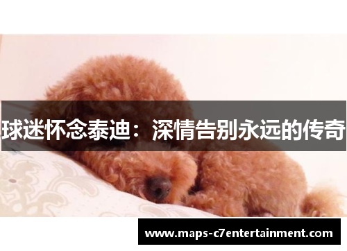 球迷怀念泰迪：深情告别永远的传奇