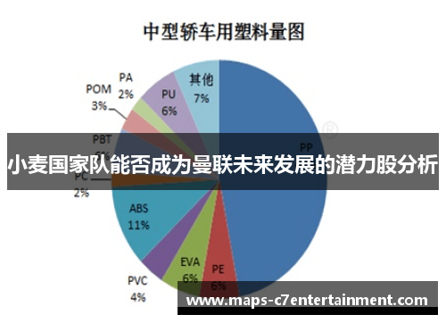 小麦国家队能否成为曼联未来发展的潜力股分析