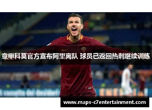 意甲科莫官方宣布阿里离队 球员已返回热刺继续训练