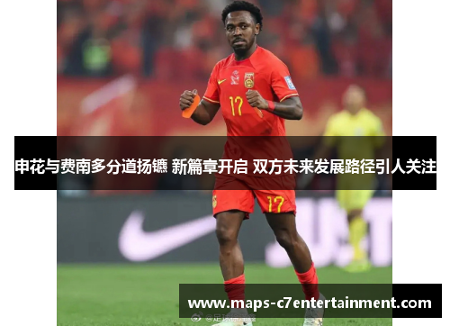 申花与费南多分道扬镳 新篇章开启 双方未来发展路径引人关注