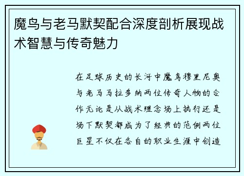 魔鸟与老马默契配合深度剖析展现战术智慧与传奇魅力 魔鸟与老马默契配合深度剖析展现战术智慧与传奇魅力